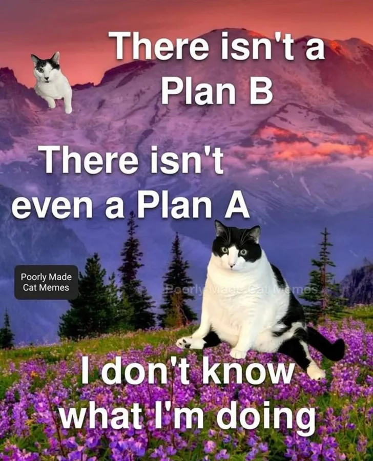 Untitled meme