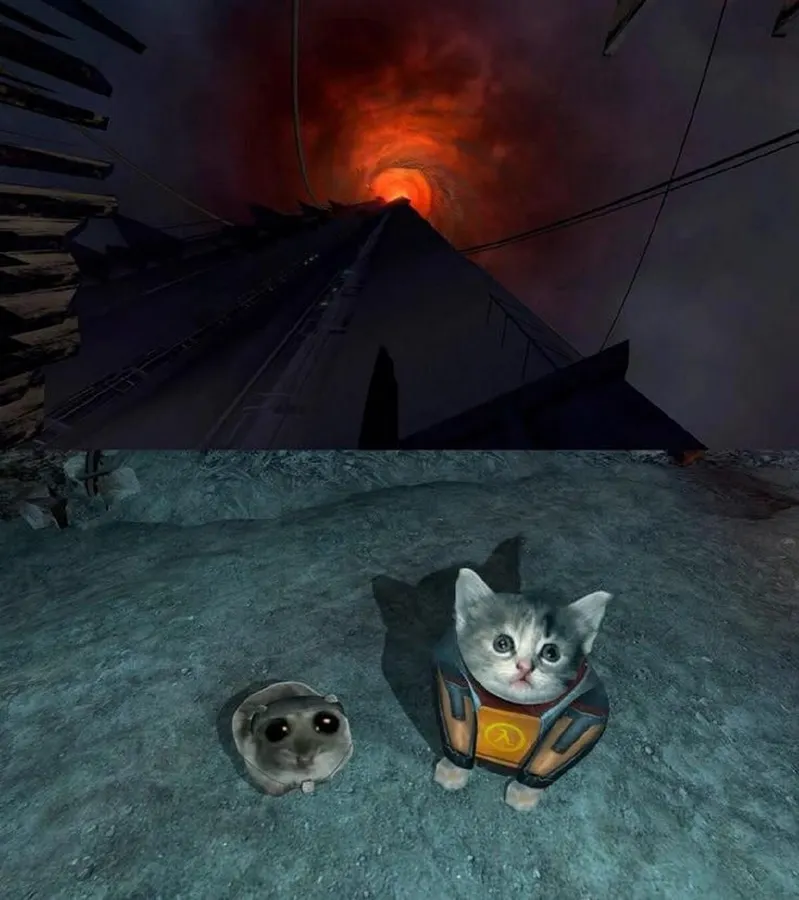 Untitled meme