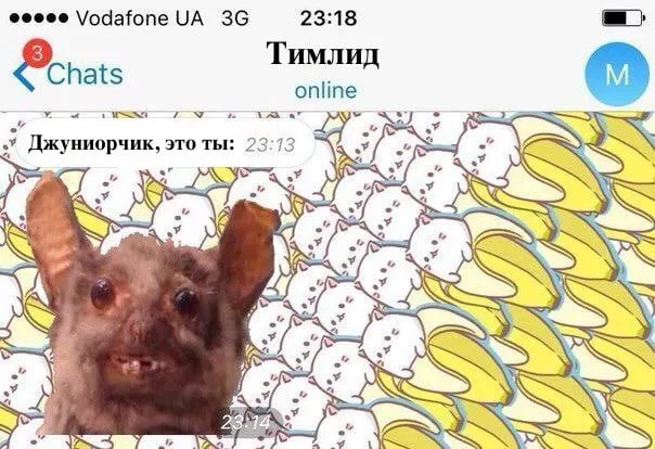 Untitled meme