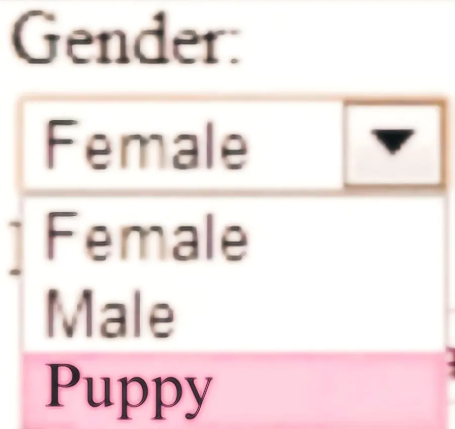 Untitled meme