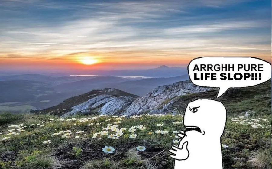 Untitled meme