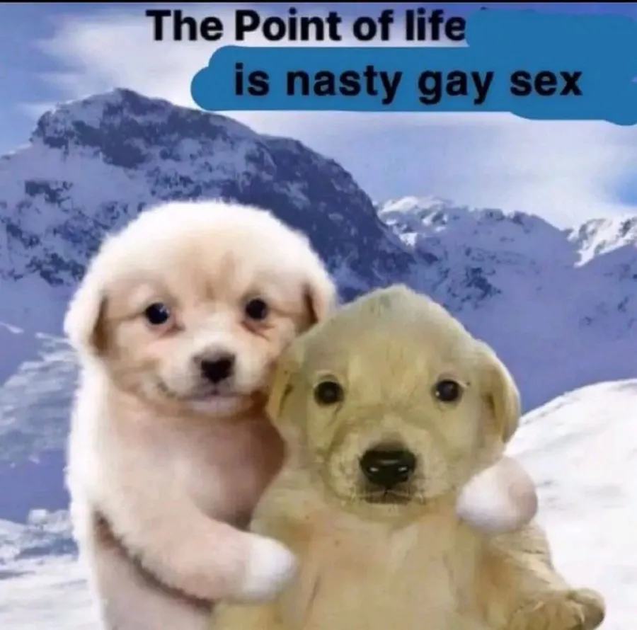 Untitled meme