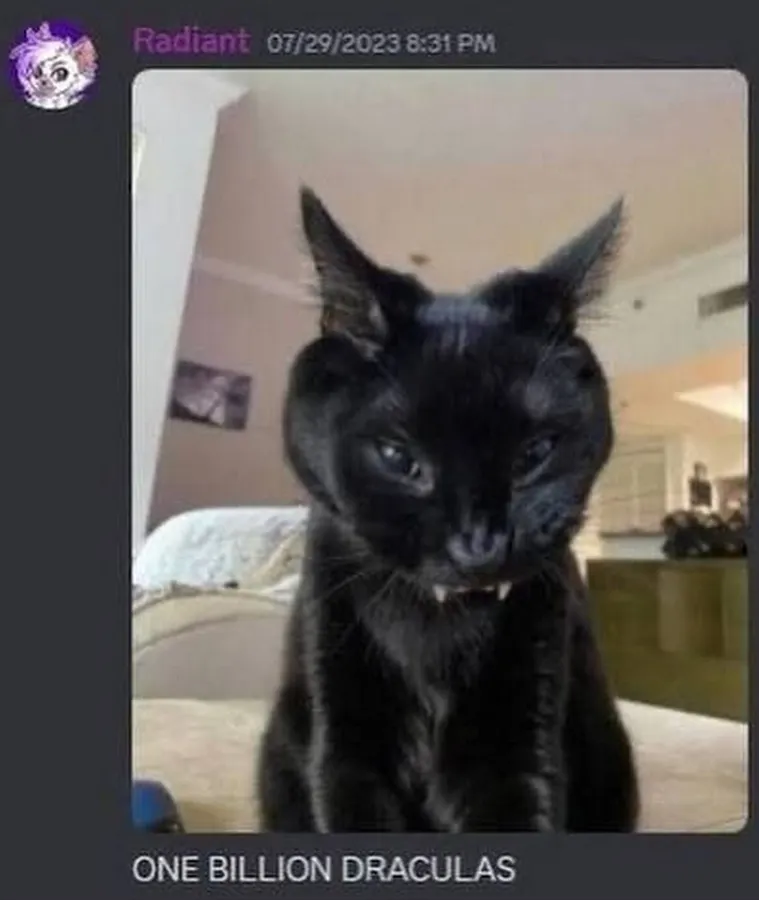 Untitled meme