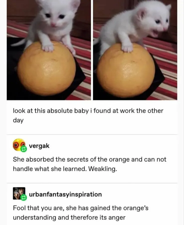 Untitled meme