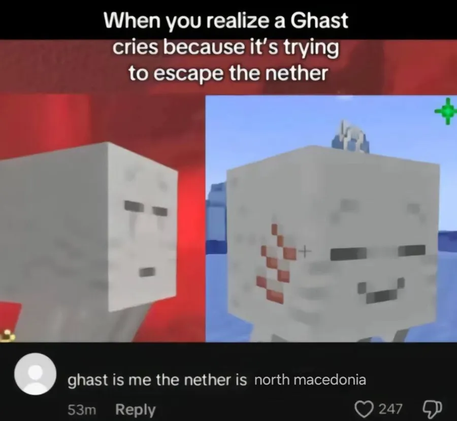 Untitled meme