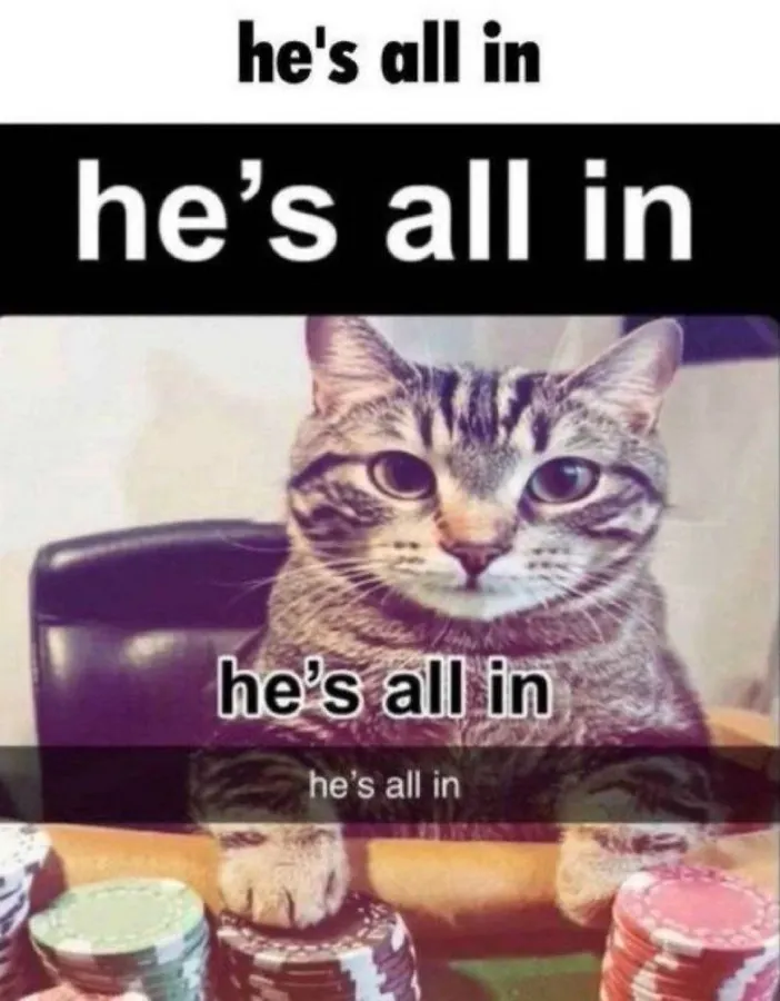 Untitled meme