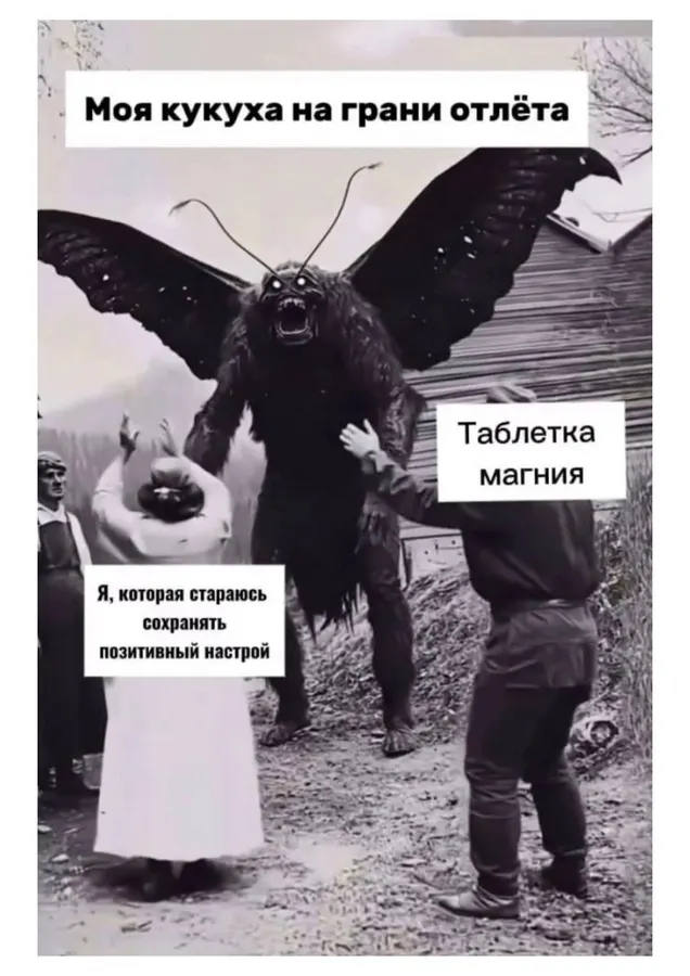 Untitled meme