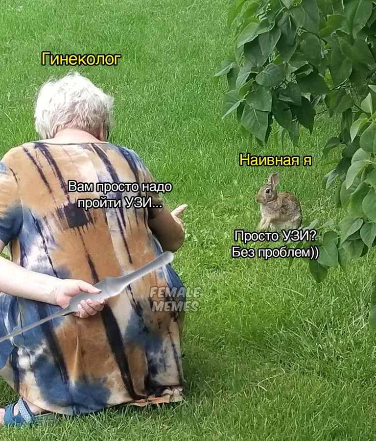 Untitled meme