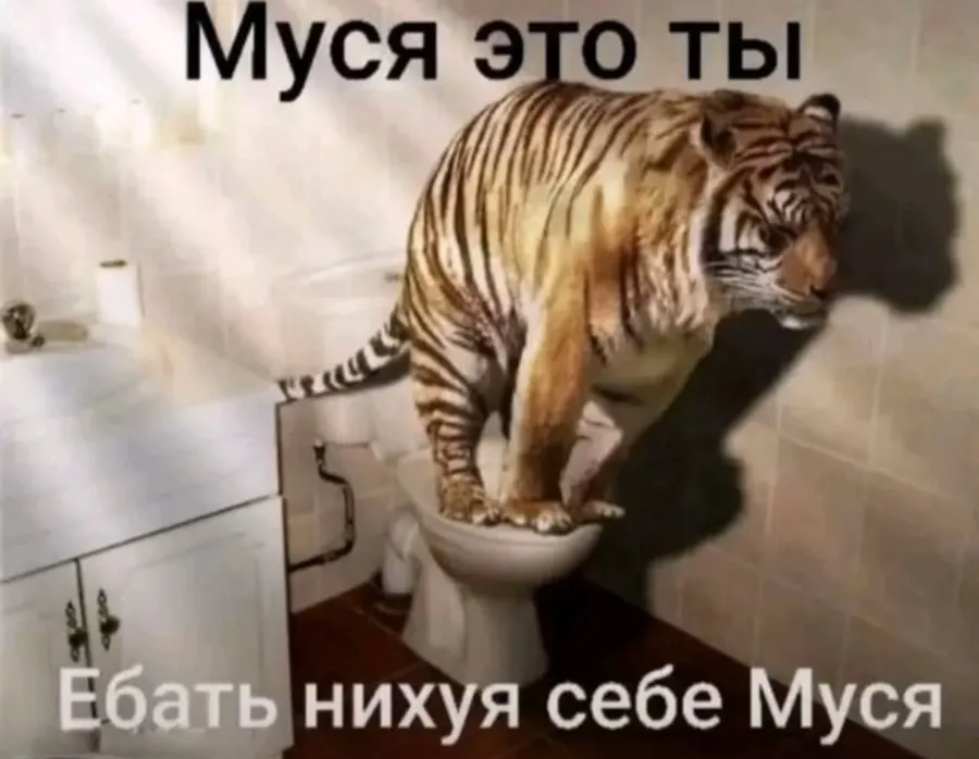Untitled meme