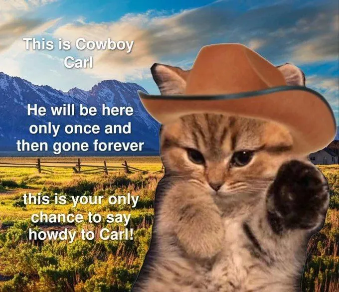 Untitled meme