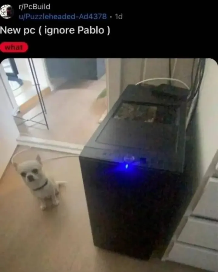 Untitled meme