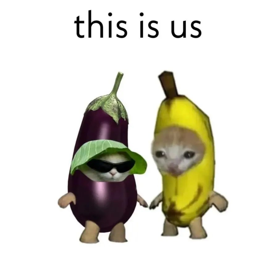 Untitled meme