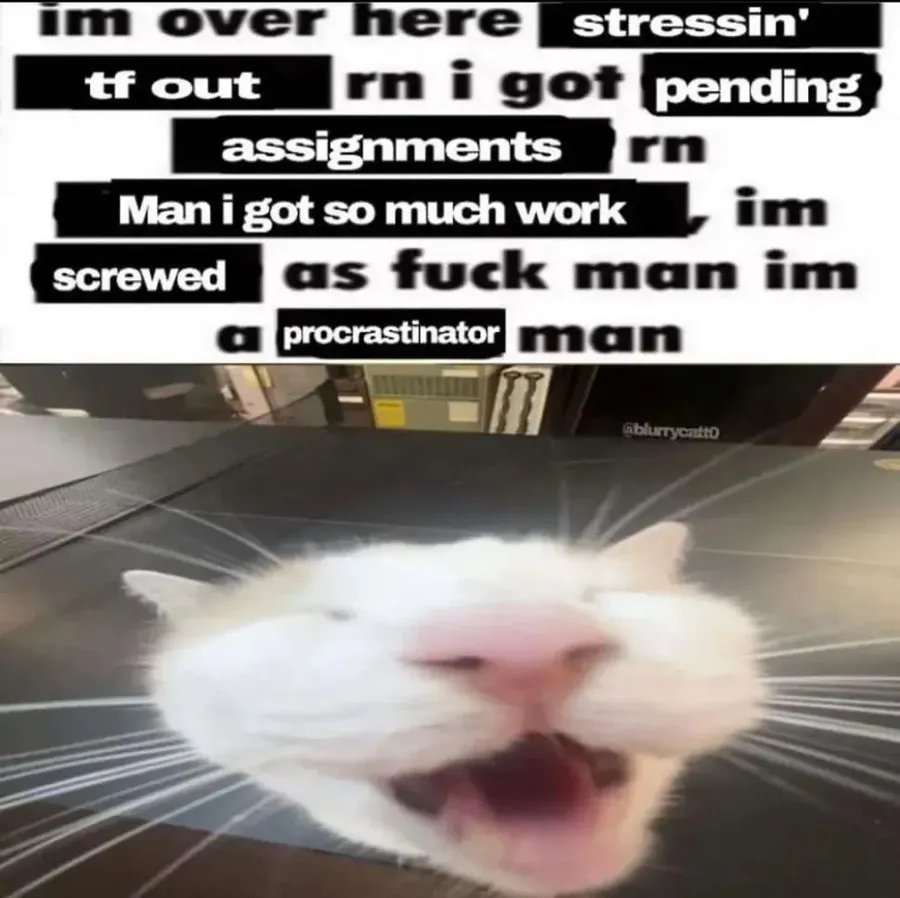 Untitled meme