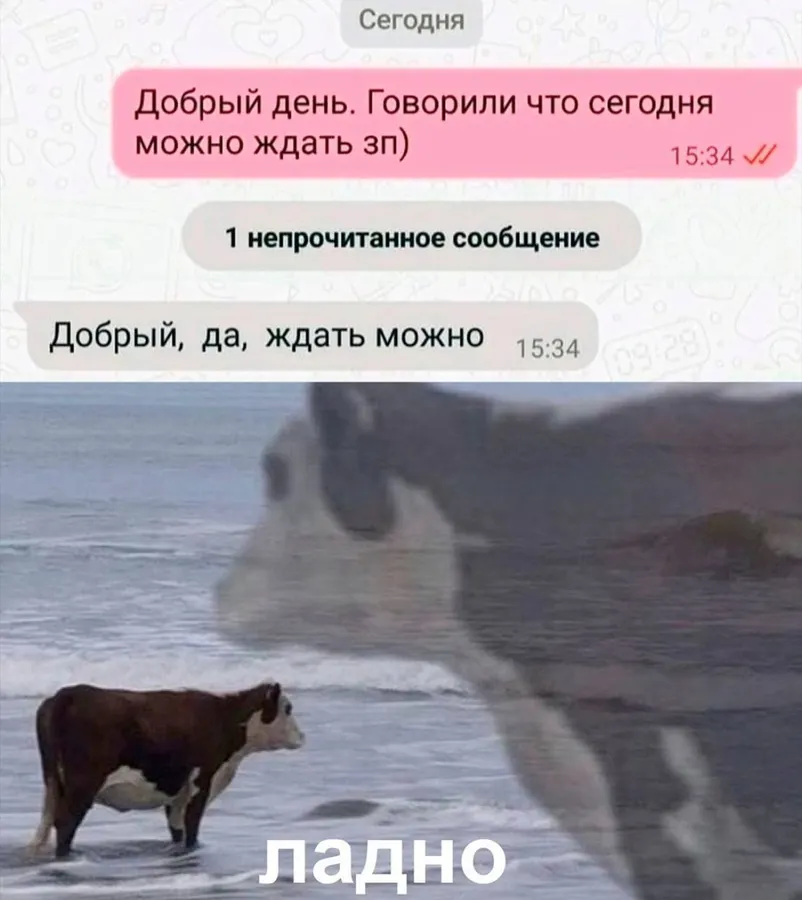 Untitled meme