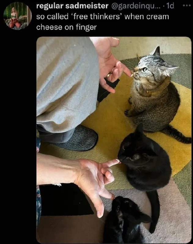 Untitled meme