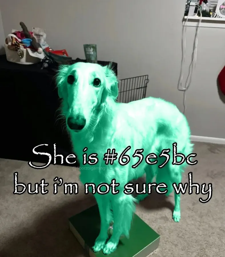 Untitled meme