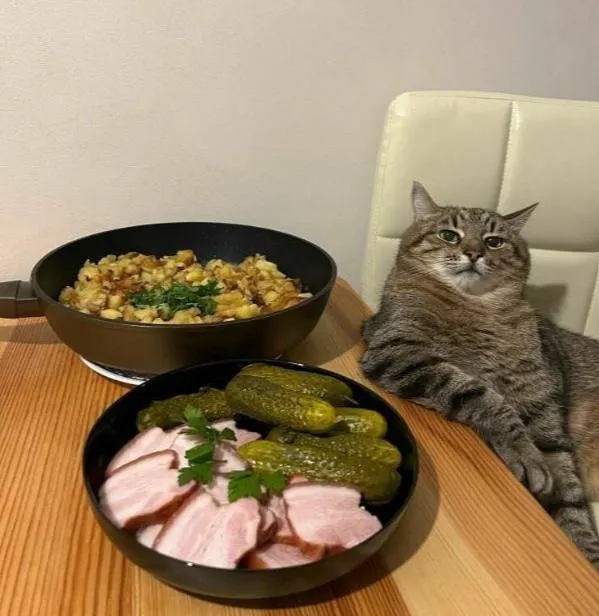 Untitled meme